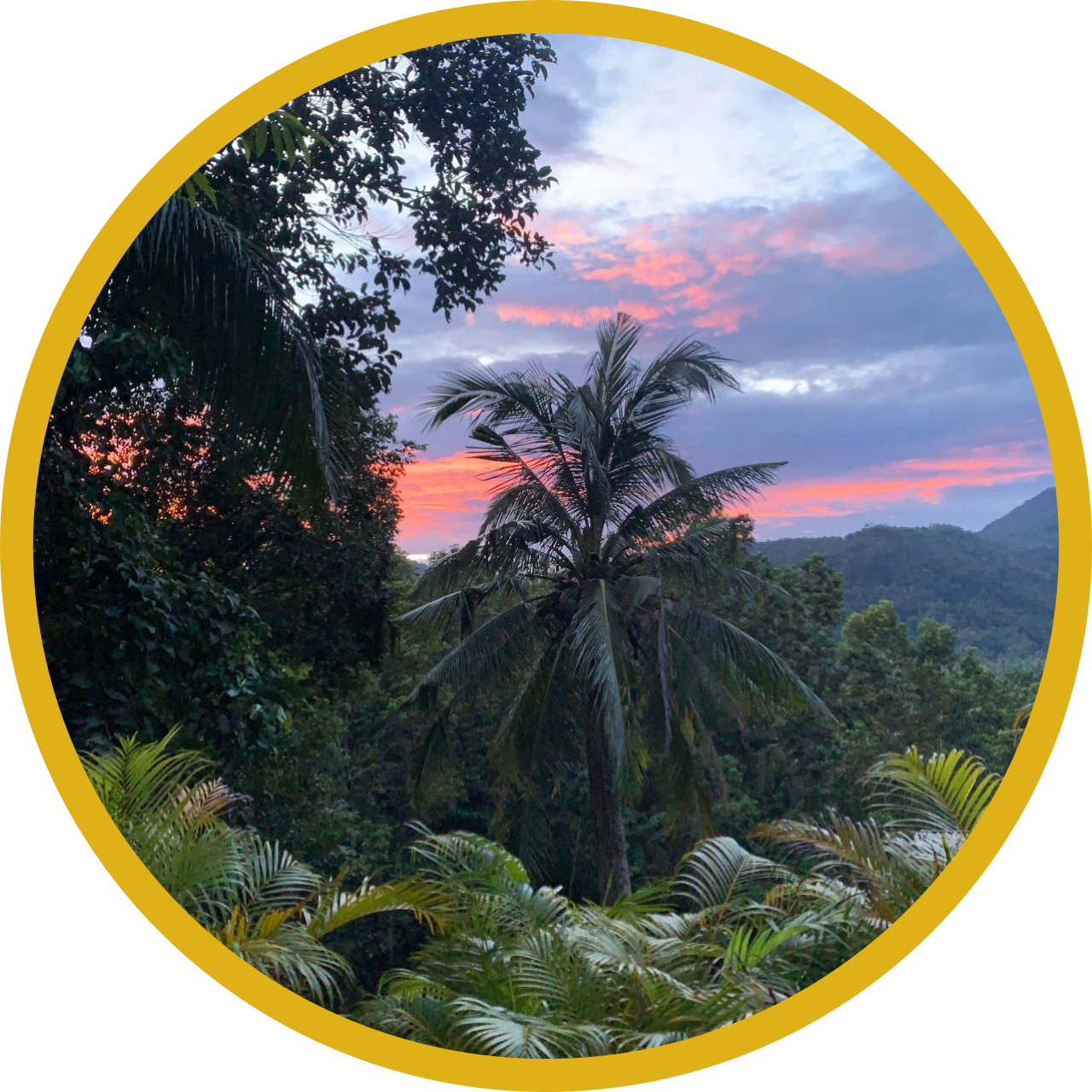 View from the balcony